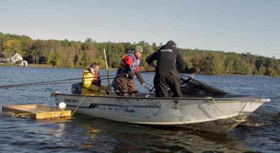 Wheatley based Southwest Outdoors Club lines up two scholarships