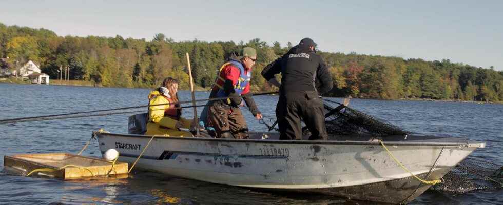 Wheatley based Southwest Outdoors Club lines up two scholarships