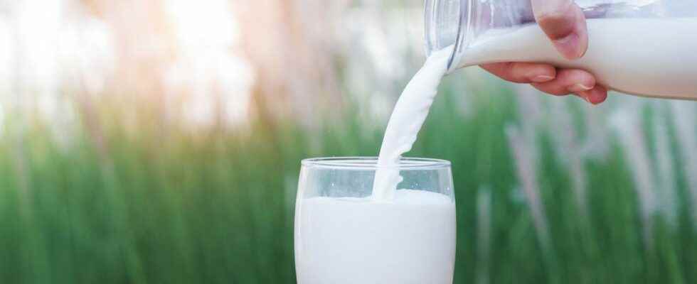 Which vegetable milks to choose for which benefits