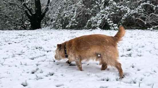 Winter is coming Chance of snow next weekend