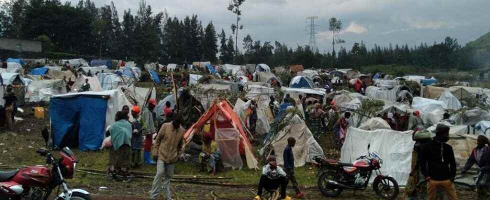 at the gates of Goma the displaced find themselves in