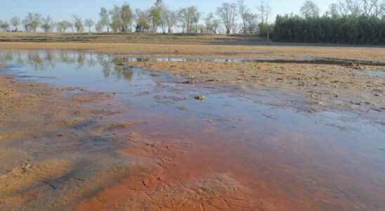 mobilization of environmental defenders for the protection of wetlands