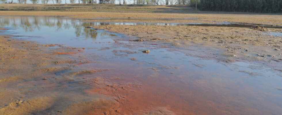 mobilization of environmental defenders for the protection of wetlands