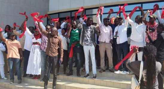 rally in Dakar to demand the release of Pape Ale