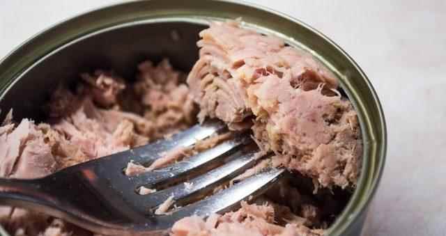 canned tuna