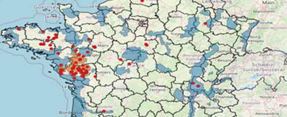 Avian flu 2022 map symptoms what risks