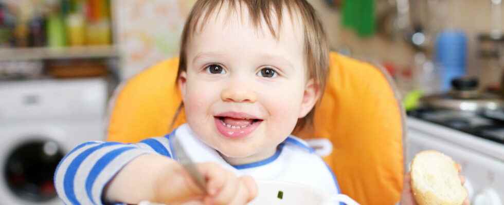 Baby at 16 months language walking and character