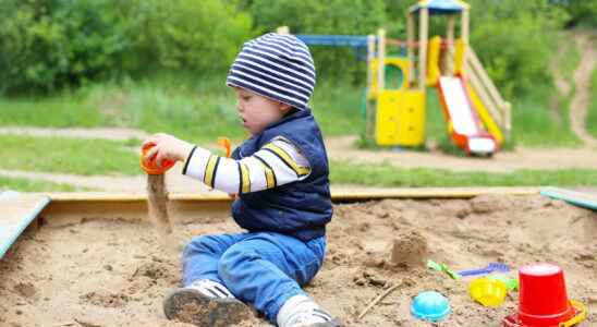 Baby at 21 months nocturnal awakenings whims and language