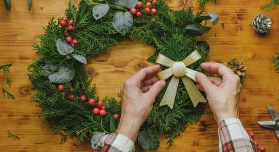 Beware of these Christmas decorations which can be toxic