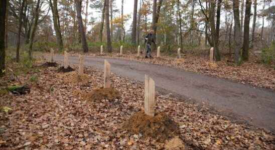 Busiest point Lage Vuursche tackled parking lot will be renovated