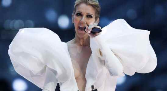 Celine Dion sick when will she return to the concert