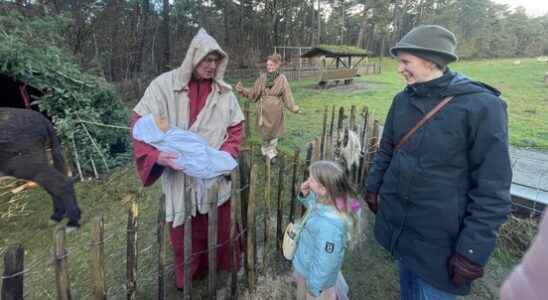 Christmas at Heidestein Estate Sheep a living Joseph and Im