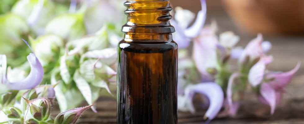 Clary sage essential oil benefits during menopause