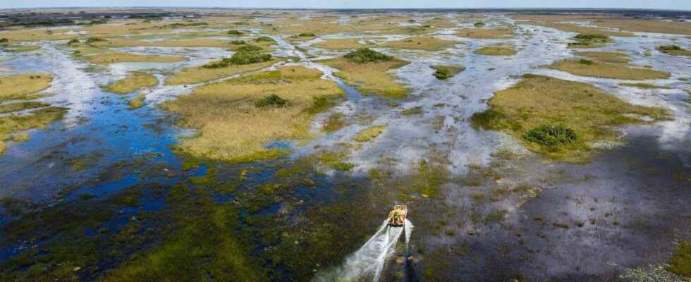 Climate change in Florida the most ambitious green project in