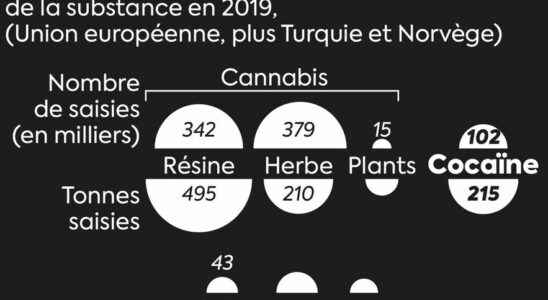 Cocaine four infographics on a European scourge