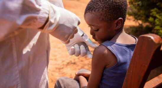 Ebola the new vaccine regimens tested obtain promising results