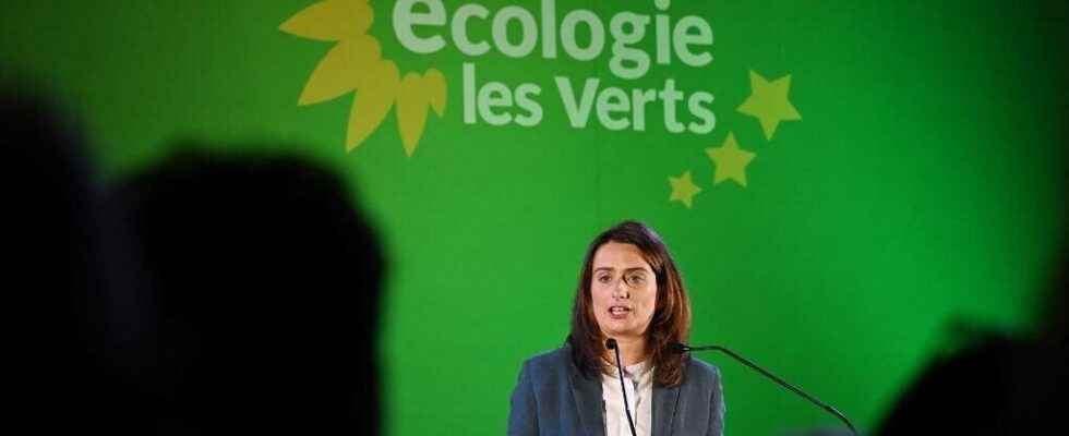 Elected at the head of Europe Ecology The Greens Marine Tondelier