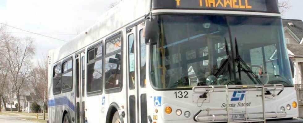 Extended New Years Eve bus service rolling again in Sarnia