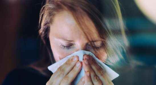 Flu in France nine regions see red