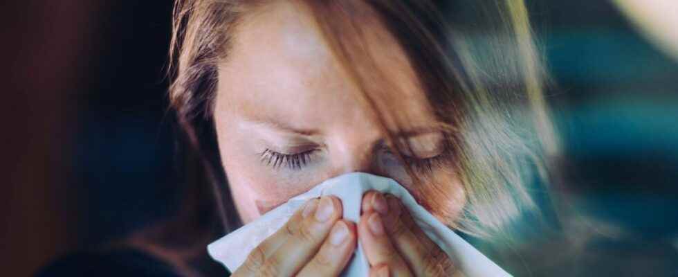 Flu in France nine regions see red