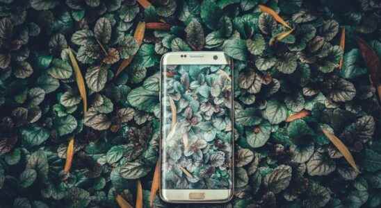 How Harmful Are Smartphones to the Environment