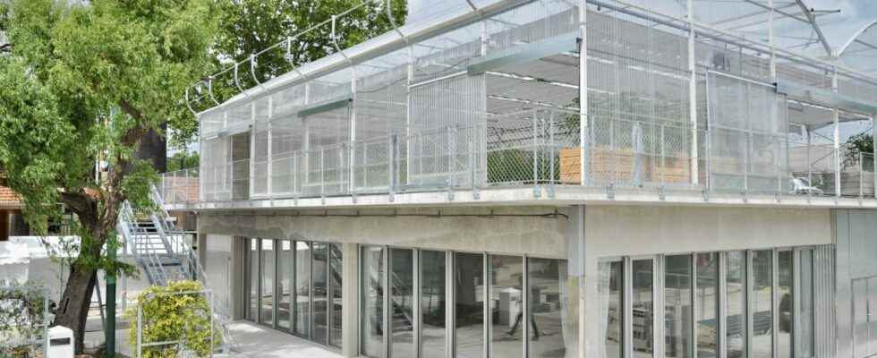 In Saint Denis a greenhouse to fight… against the greenhouse effect