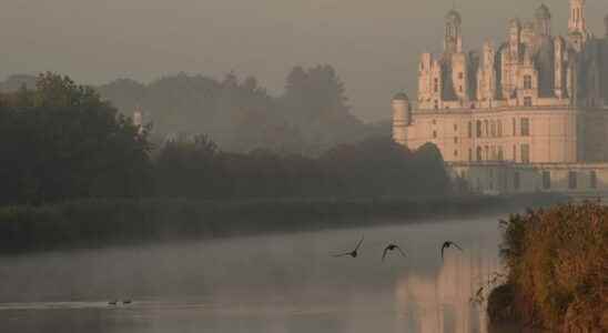 Intimate Chambord