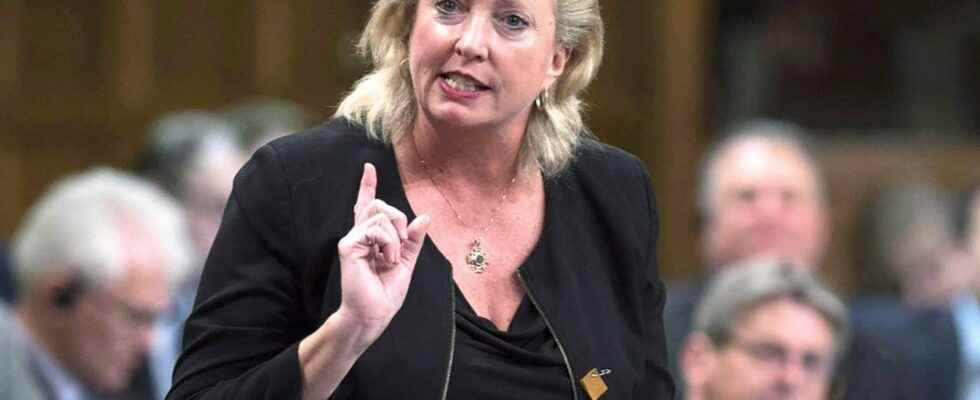 It was a tough year for Canadians says Sarnia Lambton MP