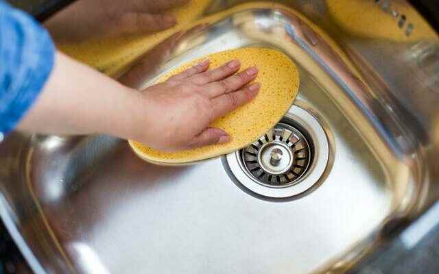 Its in every kitchen but its literally swarming with bacteria