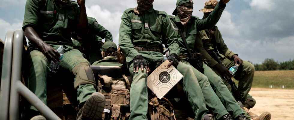 Ivorian soldiers convicted in Mali