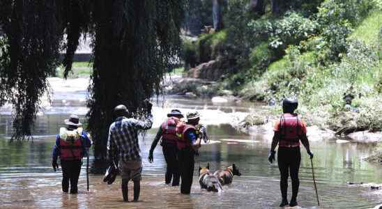 Johannesburg flood kills 14 during religious ritual