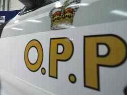 More than 300000 in stolen property recovered in Brant