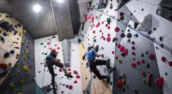 Private climbing rooms first in line to boost the sector