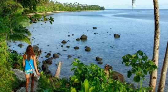 Recharge your batteries in Taveuni