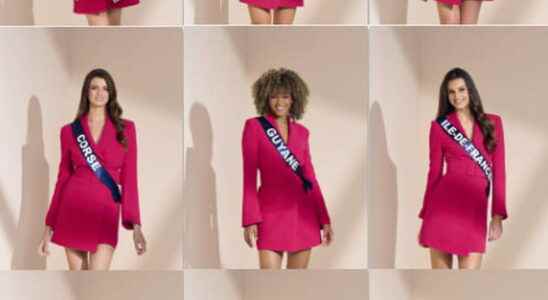 SURVEY Miss France 2023 vote for your favorite