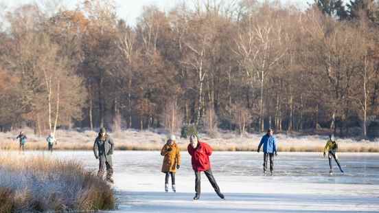 Skating fever is on the rise daredevils in Molenpolder and