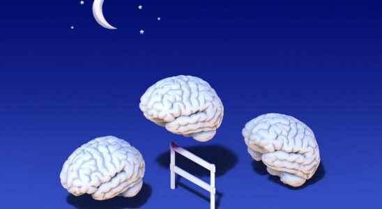 Sleep what science says Le dossier de LExpress