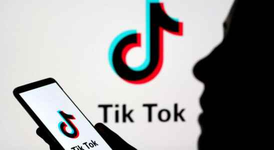 TikTok the bad reputation Media column