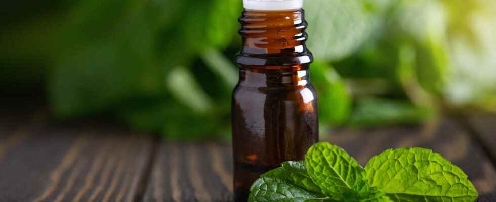 What essential oils in case of stuffy nose