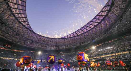 World Cup closing ceremony a flop and cetaceans