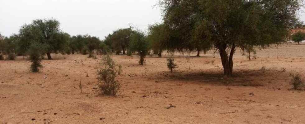 a borehole to relieve water shortages in the face of