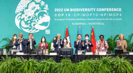 after the agreement the difficult implementation of biodiversity protection