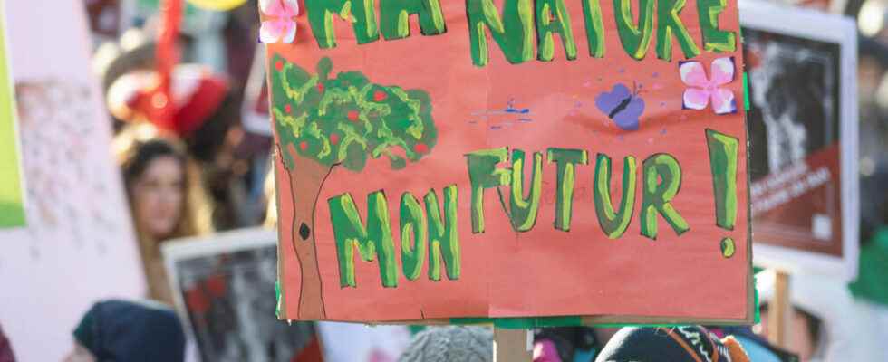 in Montreal protesters demand actions for biodiversity