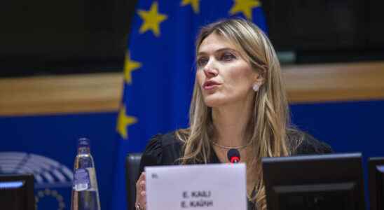 preliminary investigation opened against MEP Eva Kaili accused of corruption