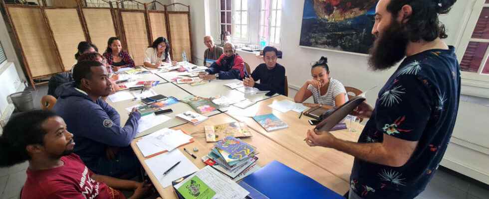 professionalize illustrators to develop childrens literature