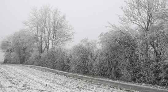 twelve departments on alert weather forecasts