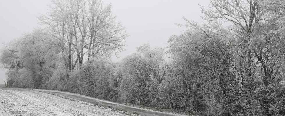 twelve departments on alert weather forecasts