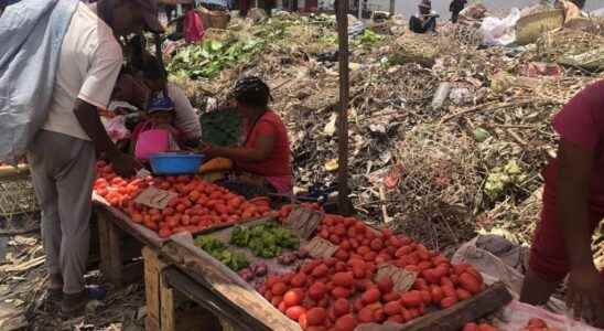 waste is piling up in several districts of the capital