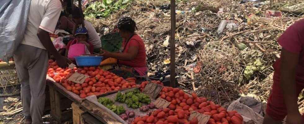 waste is piling up in several districts of the capital