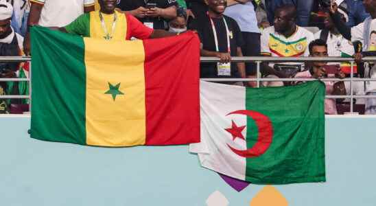 2023 African Nations Championship TV broadcast schedule